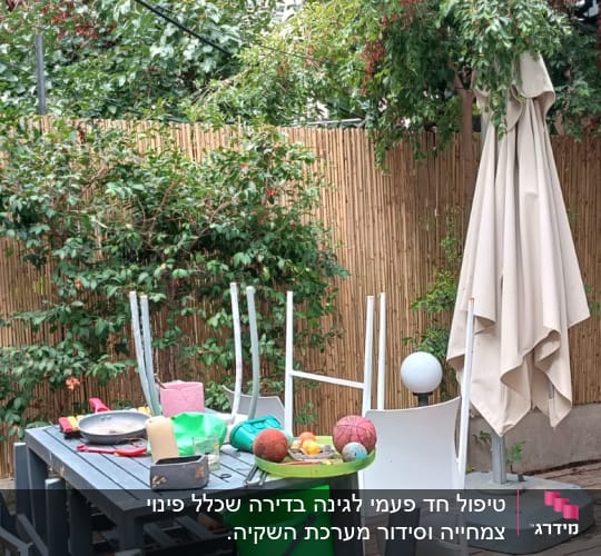שולחן עם כלים, עציצים וגדר במבוק בגינה